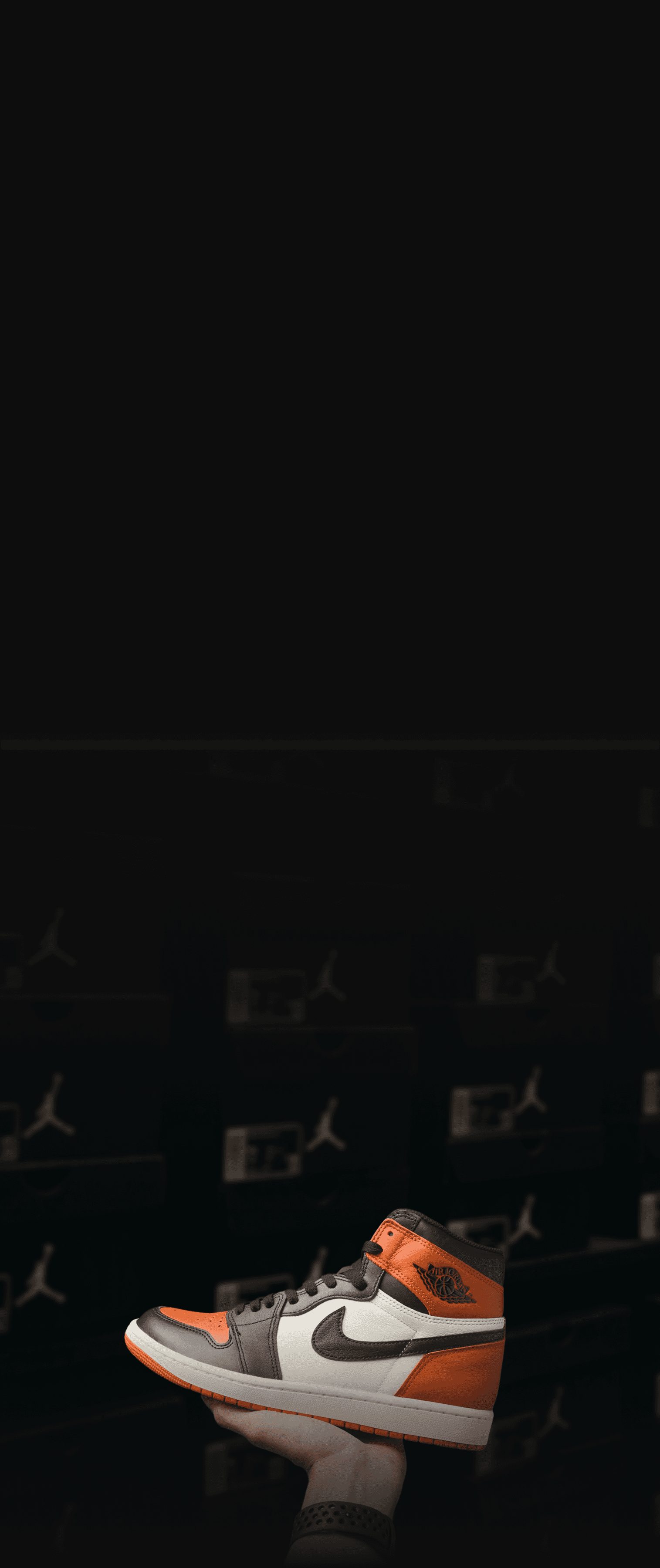 Sneaker collection showcase